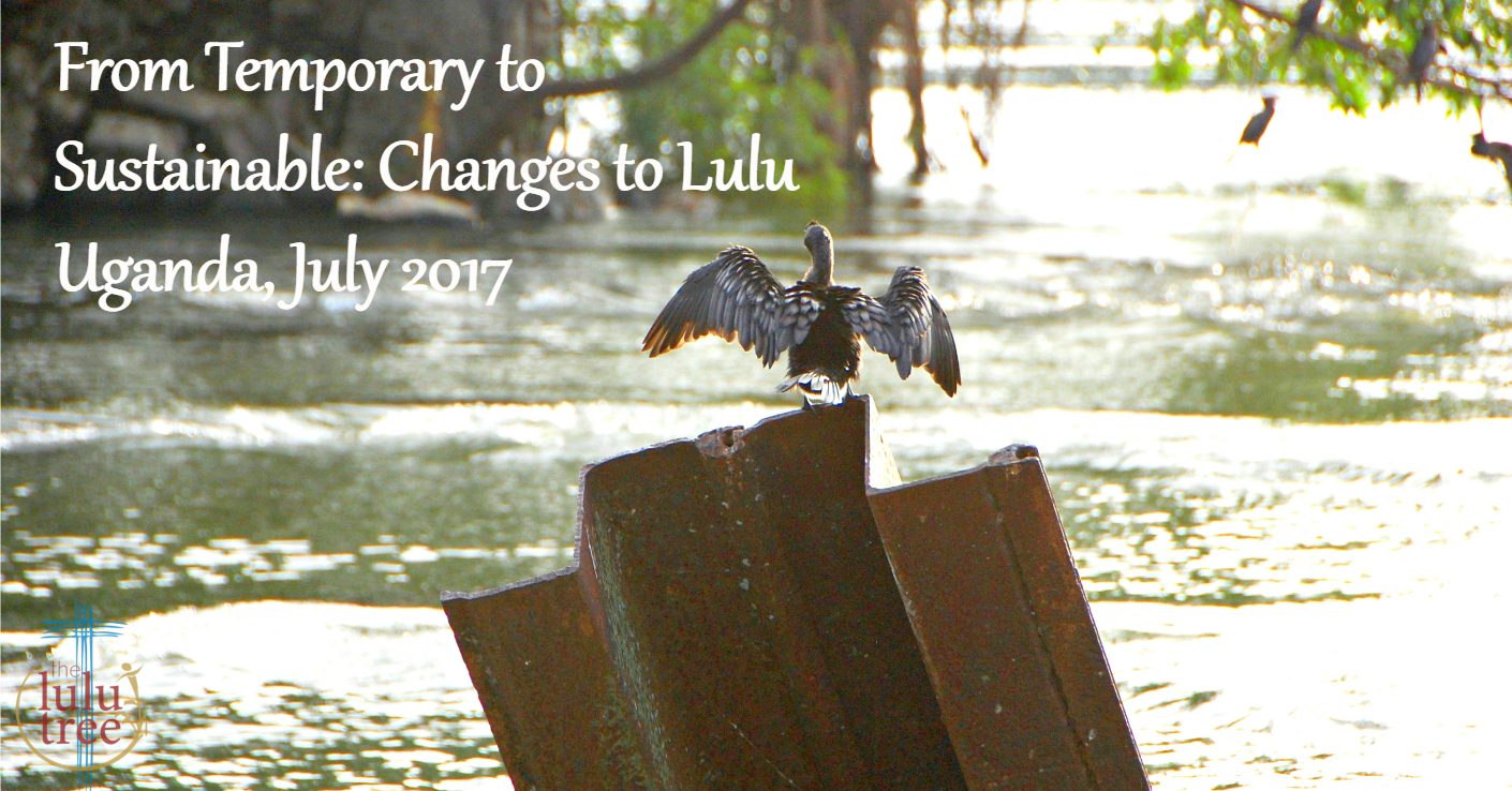 From Temporary to Sustainable: Changes to Lulu Uganda, July 2017