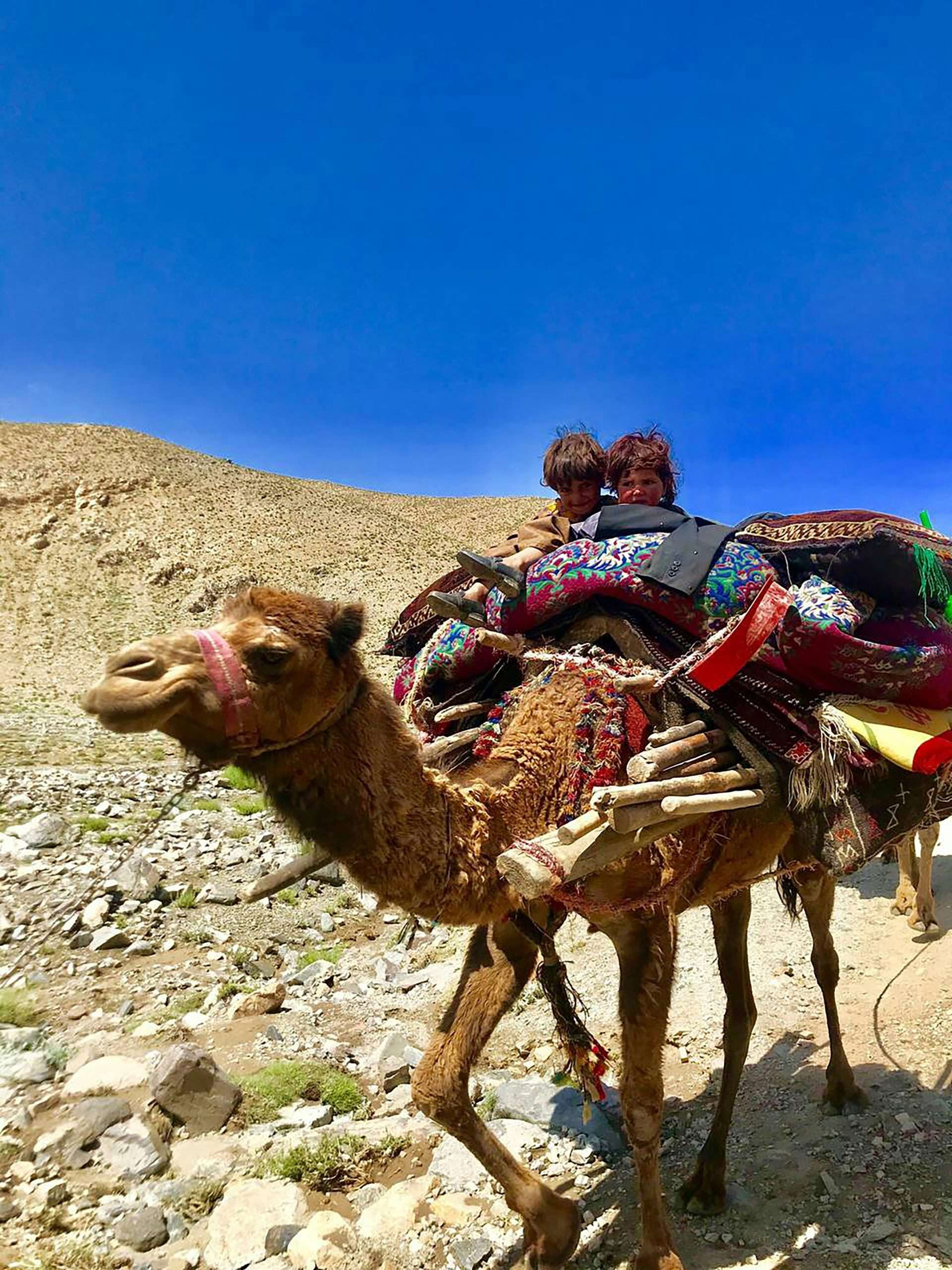 rashid-khan-k3jNrlkDm1E-unsplash